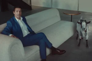 IBJR puts the ‘elephant in the room’ to expose the risks of the illegal betting market and raise awareness among bettors about the importance of licensed platforms